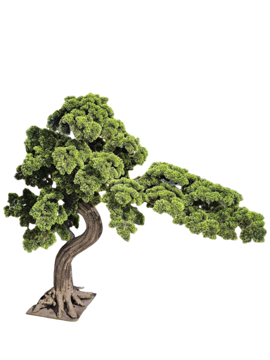 Bonsai tree