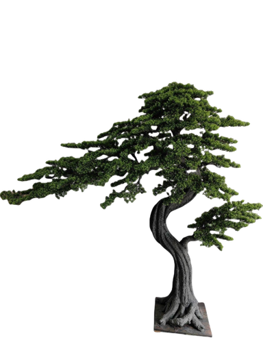 شجرە بونسای