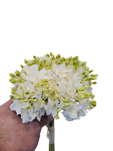 چەپکی دەستی بوک