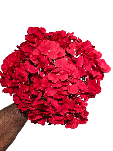 هایدرنجە سۆر