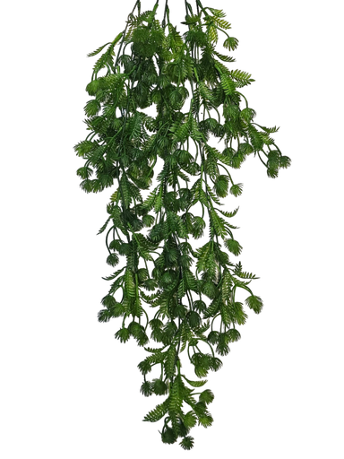 شۆڕەبی