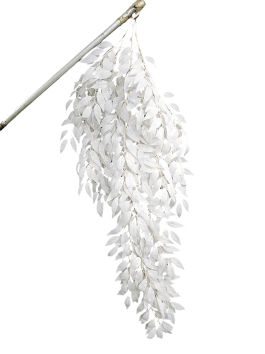 چەپکی سپی