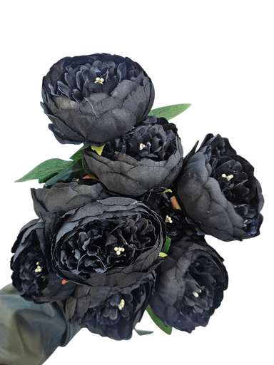 چەپکی تەماتە ڕەش