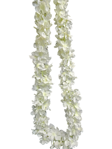 رستەی هیندی