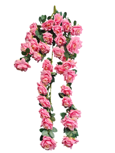 گوڵی رۆزی شۆڕ