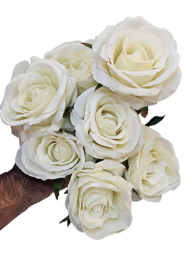 چەپکی رۆز سپی