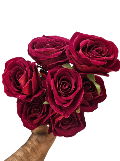 چەپکی رۆز سۆر 