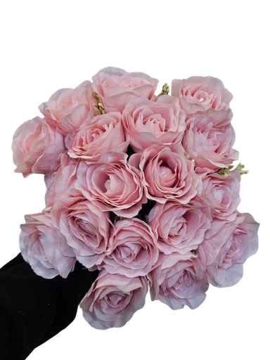 رۆزی پەمبە