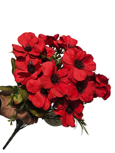 گوڵی سووری دەیزی