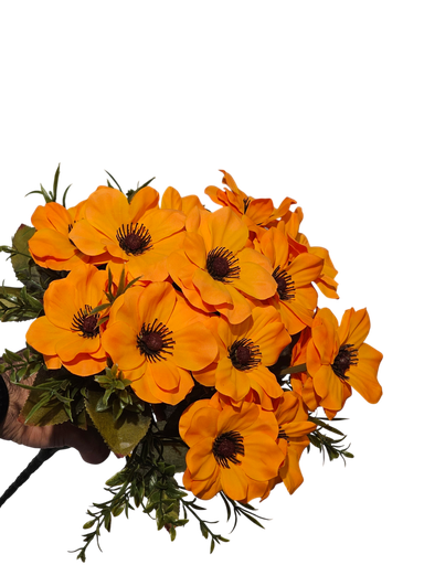 گوڵی دەیزی پرتەقاڵی