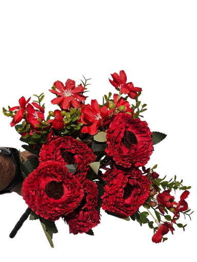 گوڵەبەڕۆژەی سوور