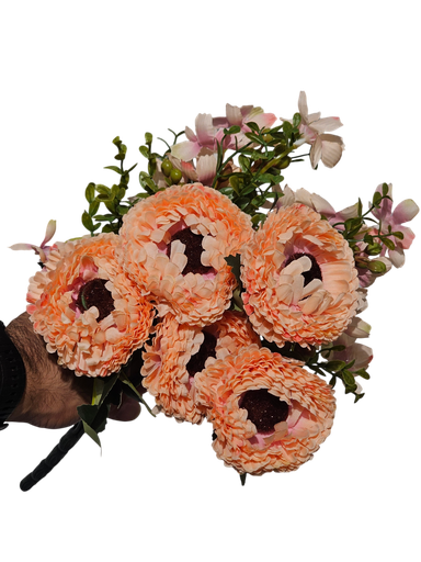 گوڵەبەڕۆژەی مۆر