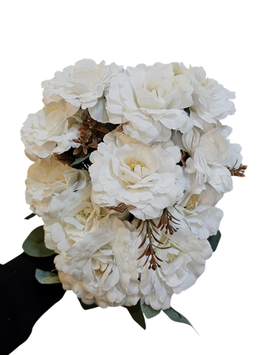 گولی چەپک سپی