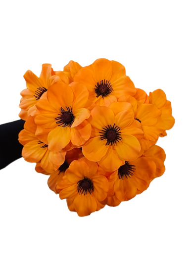 دەیزی پرتەقالی