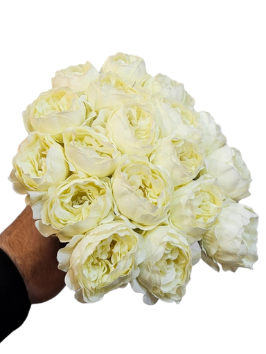 رۆزی بچوک سپی