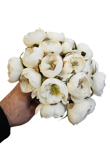 white peony