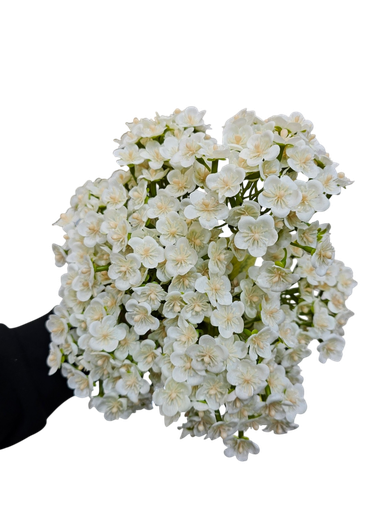 گوڵی خونچە