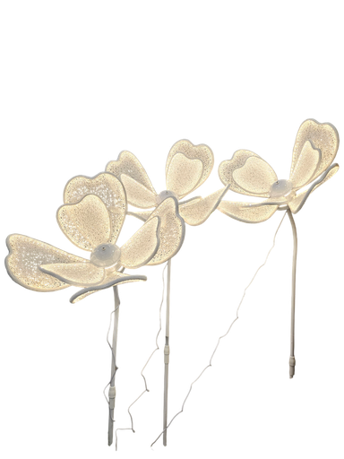 Decoration