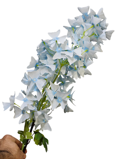 گوڵی تاکی شین