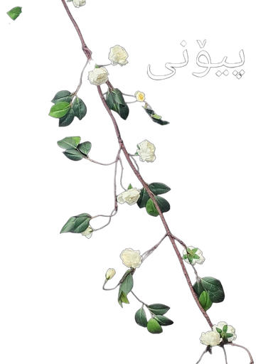 رەگی بە گوڵ