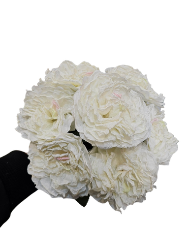 white peony