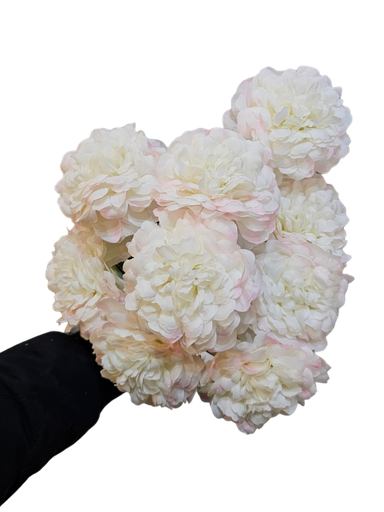 چەپکی پەمبە