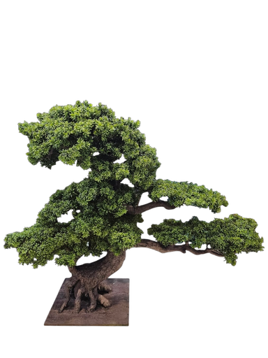 Bonsai tree