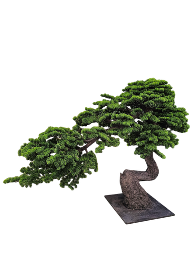 Bonsai tree