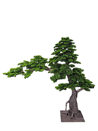 Bonsai tree