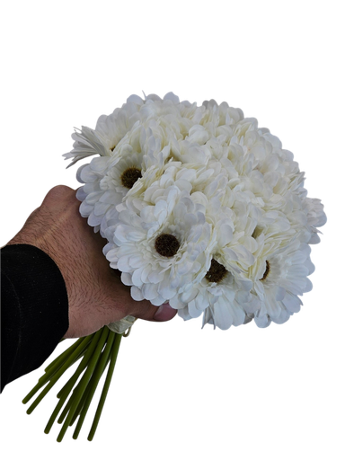 دەیزی سپی