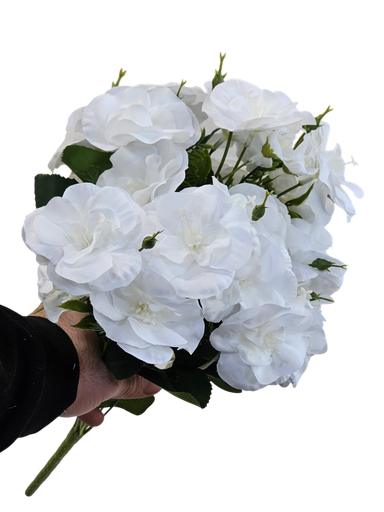 کامیلیا سپی