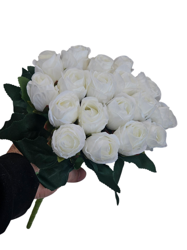 رۆزی خونچە سپی