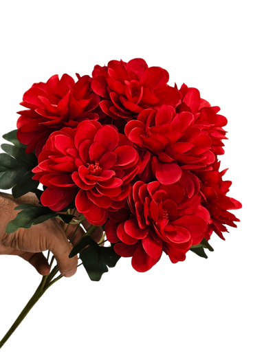 کامیلیا سۆر