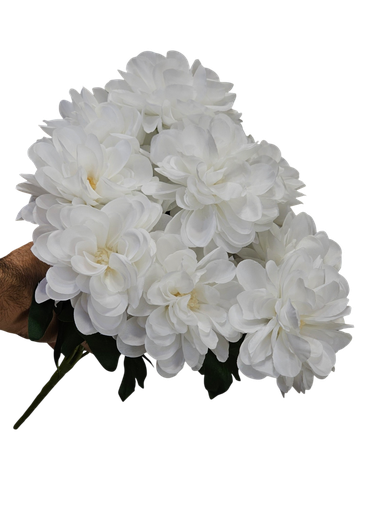 کامیلیا سپی