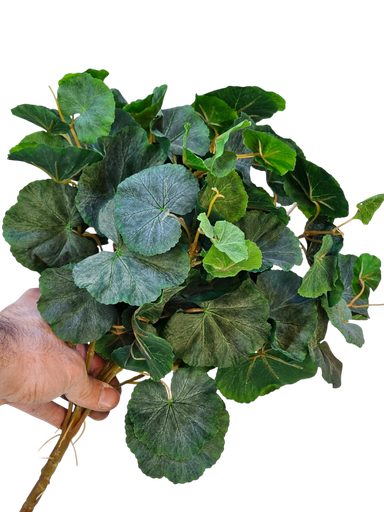 چەپکی ئایڤی