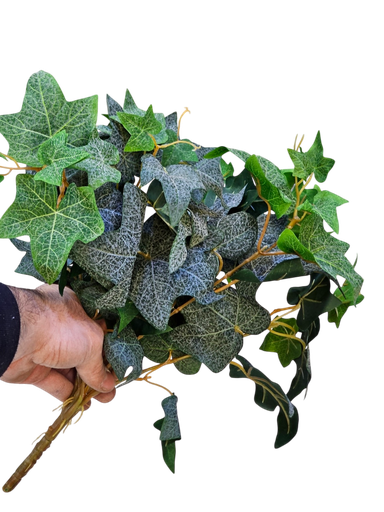 چەپکی هایدرا