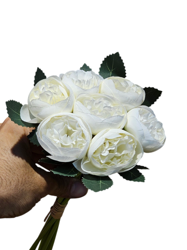 پیۆنی قیاس بچووک