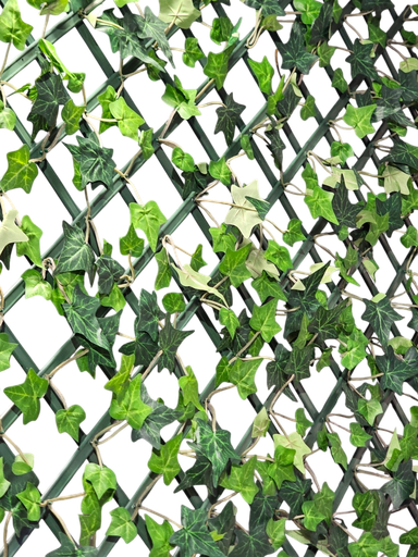 پەلی سکە 1.2