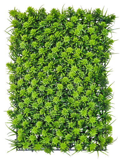 40*60cm فریزی