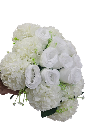 گوڵی رۆزی سپی