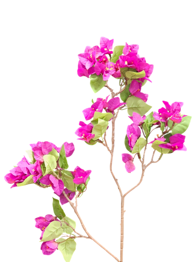جەهەنەمی 
