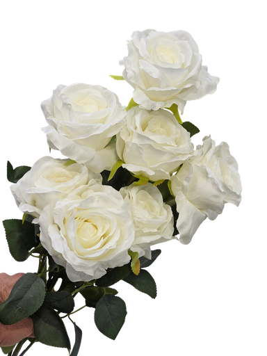 رۆزی سپی