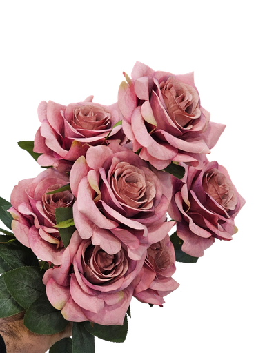 رۆزی سلڤەر