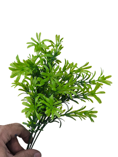 چەپکی سەوز