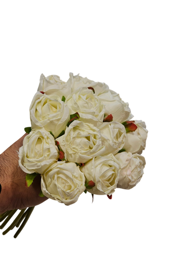 رۆزی سپی