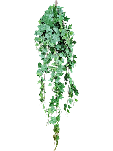 هایدرا 