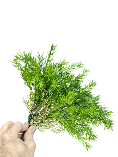 چەپکی سەوز