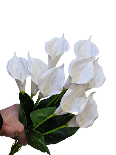 گالەی گەورە