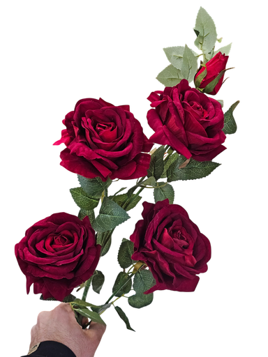 رۆزی تاک جەرگی