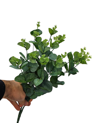 کالیپتۆس 